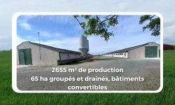 Exploitation agricole en vente Exploitation agricole vu de l'extérieur en vente