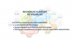 Recherches éleveurs volailles Recherches éleveurs de volailles