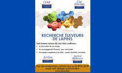 Recherche des éleveurs de lapins Parution recherche éleveurs de lapins