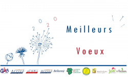 Carte de meilleurs voeux avec les logos des entreprises du groupe. Un bourgeon devient fleur puis graines qui s'envolent avec les chiffres 2,0,2,0. 