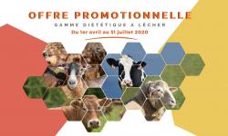 Offre-promotionnelle Offre-promotionnelle