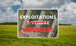Exploitations avicoles vendues