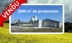Bâtiment de production de 2000 m² à vendre Exploitation agricole à vendre fraîchement rénovée