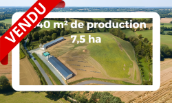 Vente d'une exploitation élevage bovin viande et volaille Vente bâtiment agricole de 1440m² de production et 7.5 ha