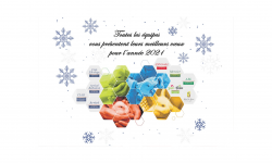 Meilleurs vœux 2021 Vœux 2021