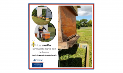 La biodiversité au cœur des engagements d'Arrivé Nutrition Animale Publication à destination des réseaux sociaux sur l'installation de ruches