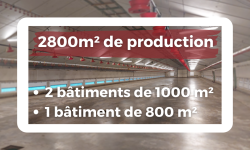 Bâtiments agricoles en vente Vente de trois bâtiments de production