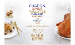 Repas de volailles Plats de volailles
