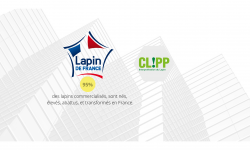 lapin-de-france Recherche sur les nouveaux modes de logement pour lapin-de-France.