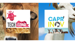 Salon Tech Élevage et Capr'INOV Affiche avec les logos Tech Élevage et Capr'INOV