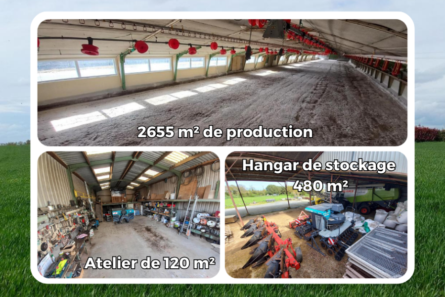 Bâtiment de l'exploitation agricole vu de l'intérieur