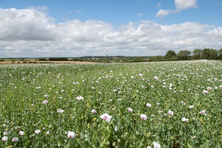 Notre impact sur l'environnement est une préoccupation majeure