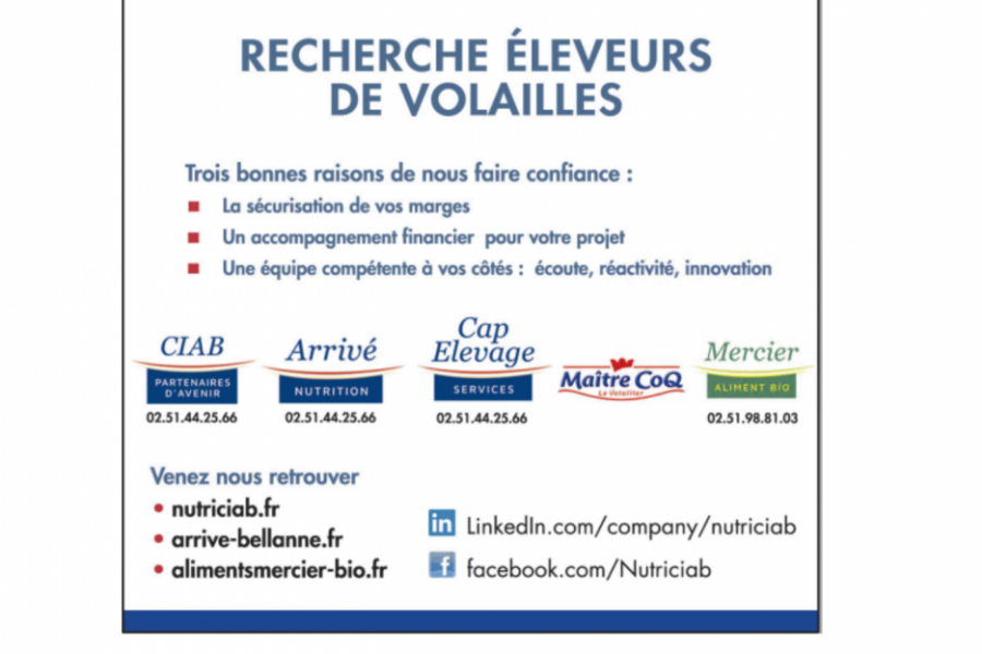 Contact pour trouver des éleveurs de volailles