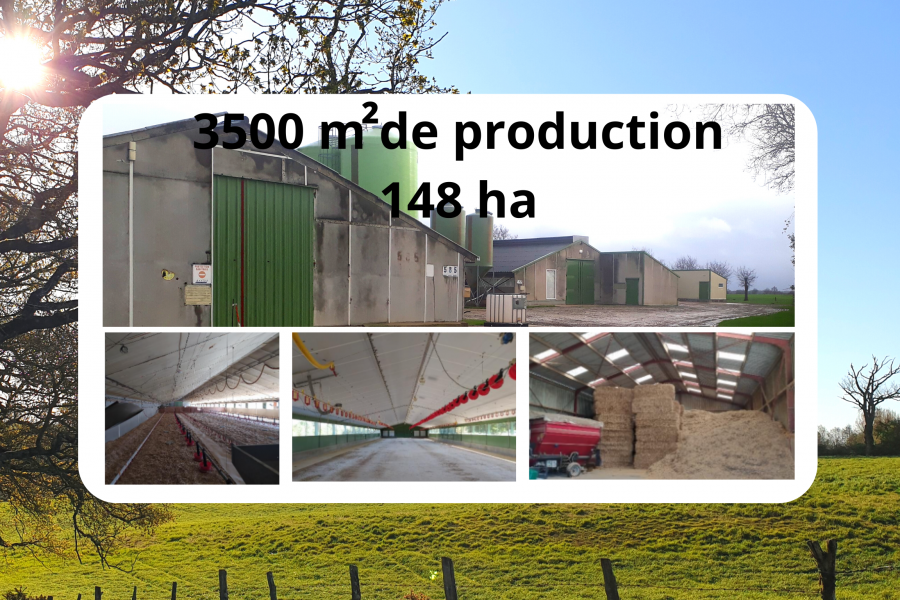 Vente de trois bâtiments avicoles en Vendée