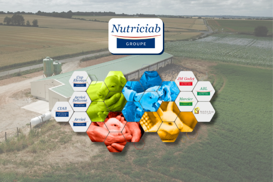 Logo du groupe Nutriciab et ses filiales