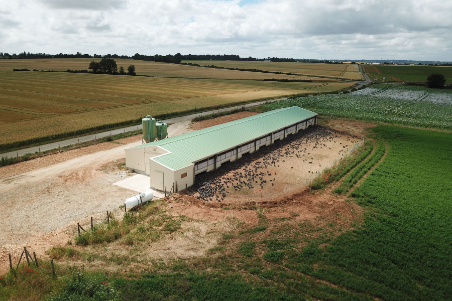 Construction d'un poulailler neuf