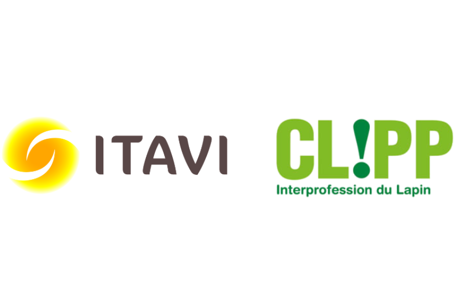 Logo ITAVI ET CLIPP