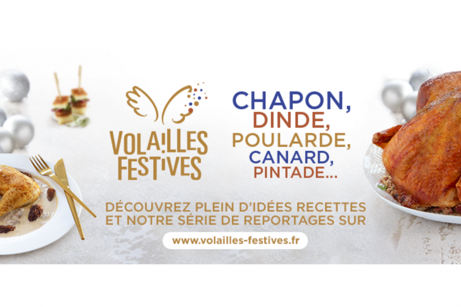 Découvrez les idées de recettes volailles festives