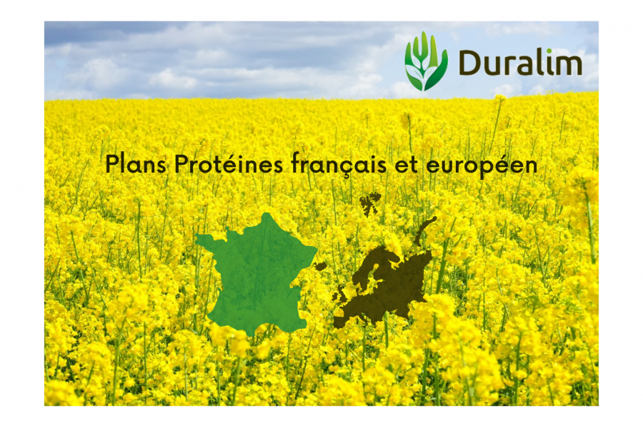 Image d'un champ de colza avec le logo Duralim inséré, logo de la france et de l'Europe ainsi que les Plans Protéines français et européen