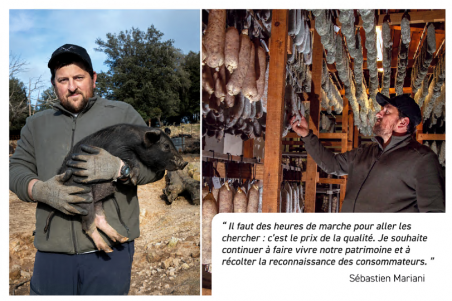 Hommage monde agricole