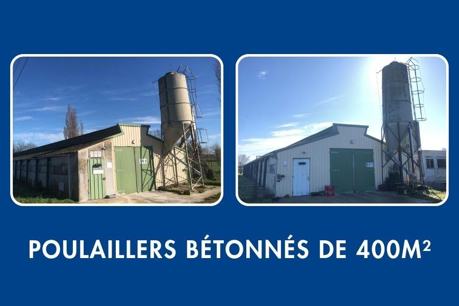 Poulaillers à vendre