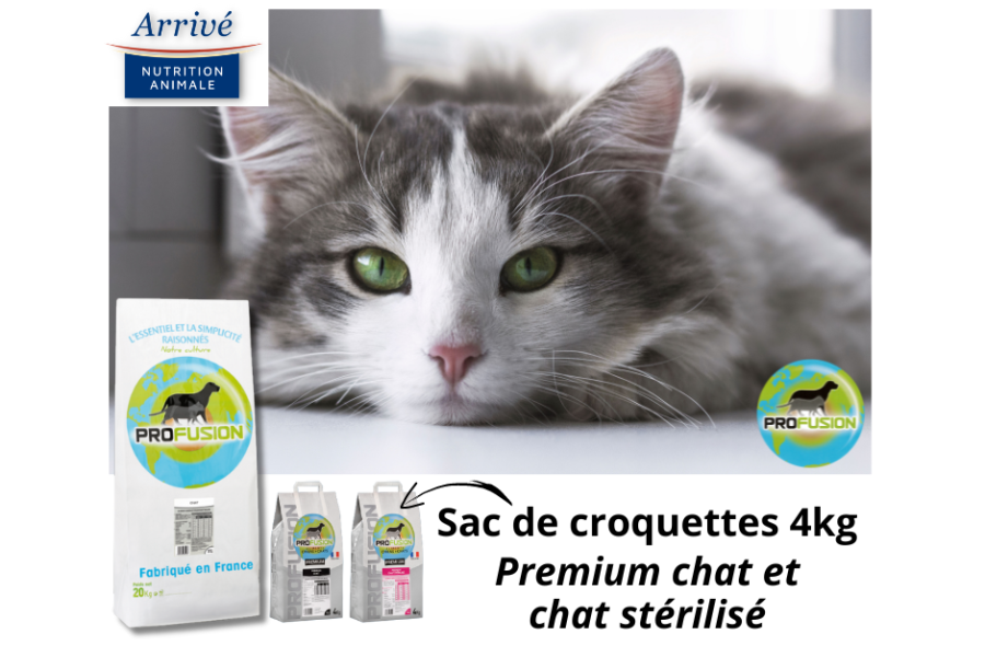 Chat yeux vert, mise en avant des sacs de croquettes 4kg premium chat et chat stérilisé de la gamme profusion