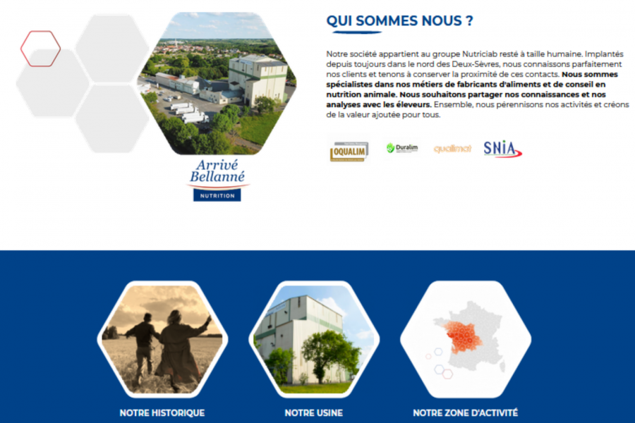 Onglet qui sommes-nous du site Arrivé Bellanné