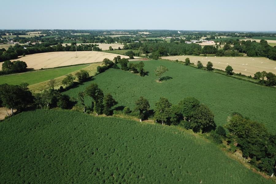 Le bocage vendéen riche de sa diversité agricole