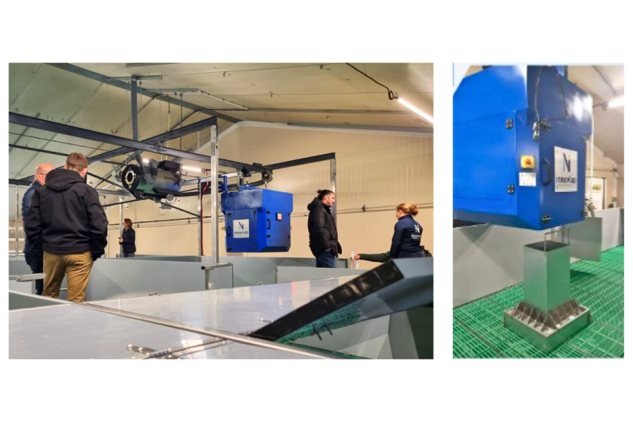 Robotisation pour les rations alimentaires