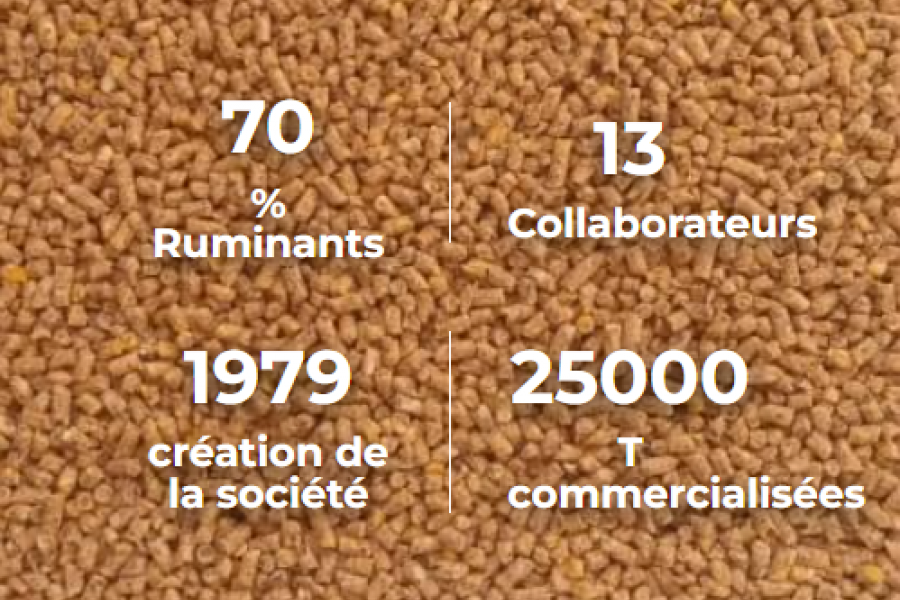 Quelques chiffres importants de l'entreprise